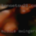 Middle swingers